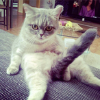 LvJasper420's Avatar