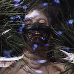 Broken.Scunfi's Avatar'