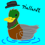 DAS.RIGHT's Avatar'