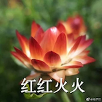 nakanomiku.'s Avatar'