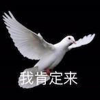 Dove_Benjamin's Avatar'