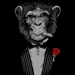 Ca0imhe23's Avatar'