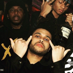 aznxpress's Avatar'