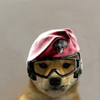 reza.WMD's Avatar'