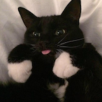 real_bubble80's Avatar'