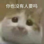 LuoMuTou's Avatar'