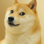 Monsieur_Salty's Avatar'