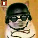 Gohayaku's Avatar'
