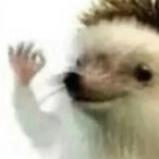 AlcholicRat's Avatar'