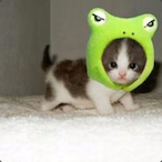 xbxtt's Avatar'