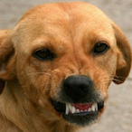 Predga_TTV's Avatar'