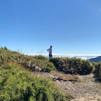 superholybull's Avatar'