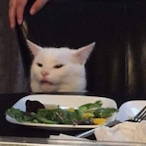 capndogdawg's Avatar'