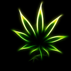 pinkmist_LHS's Avatar'