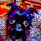 smellye's Avatar'