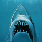 Megalodon1912's Avatar'