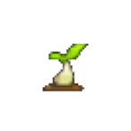 DeditatdWam's Avatar'