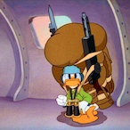 Command_Duck's Avatar'
