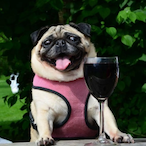 PuGg_'s Avatar'