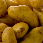 PotatoCity's Avatar'