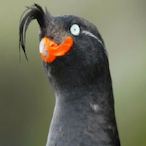 ZapieZan's Avatar'
