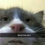 Shh_Sn34ky's Avatar'