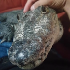 f_elipe344's Avatar'