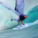 Sicariuss0's Avatar'