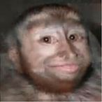 looby19's Avatar'