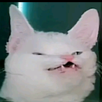 Waxy_Cheese's Avatar'