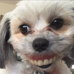 Marvelkeegs2's Avatar'