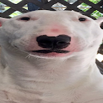 RIP_Winston's Avatar'