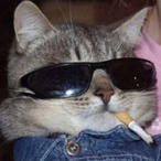 Viktor_rus333's Avatar'