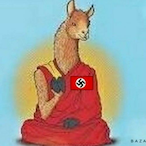 Real Llama Man's Avatar'
