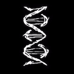 Modmaks's Avatar'