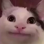 YaBoiSapph's Avatar'
