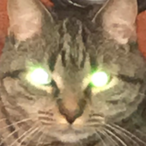 Danny22668's Avatar'