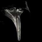 Oxygen21TR's Avatar'