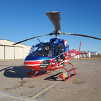 Anemal Tool's Avatar'