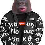 MrBoriz's Avatar'