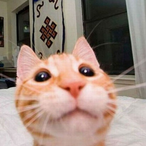 Robel.'s Avatar'