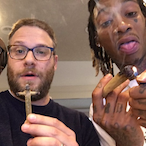 FinnsKitty's Avatar'