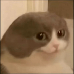 Neisticles.gr's Avatar'