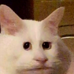 jennatulgod's Avatar'