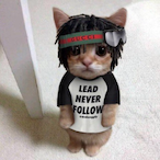 tqkiyah.nz's Avatar'