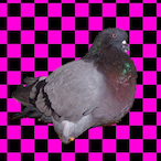 RookieRage69's Avatar'