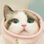 LookatLemon's Avatar'