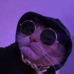 Federal.alaska's Avatar'