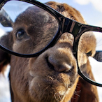 QuitePeach2693's Avatar'