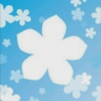 Relta.ZMJ9981's Avatar'